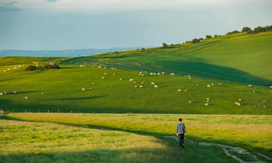 The South Downs Way near Ditchling Beacon.