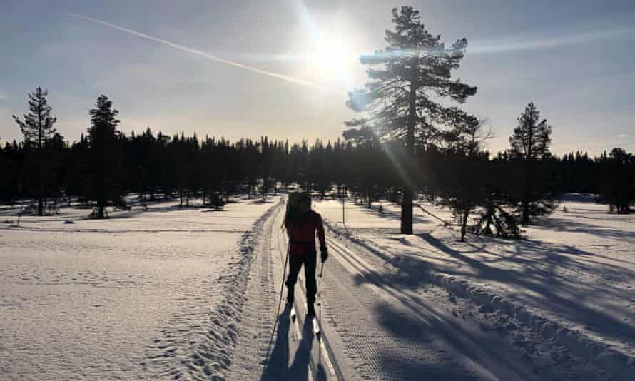 On the trail in perfect weather.