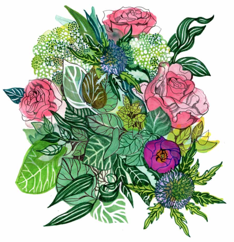 flowers illustration