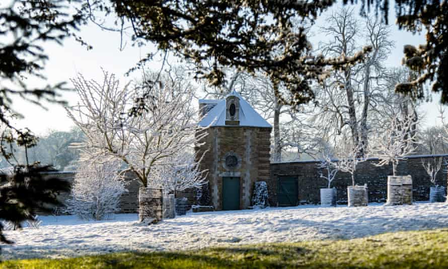 Snowdrop sanctuary: enjoy the scent at Easton in Lincolnshire.