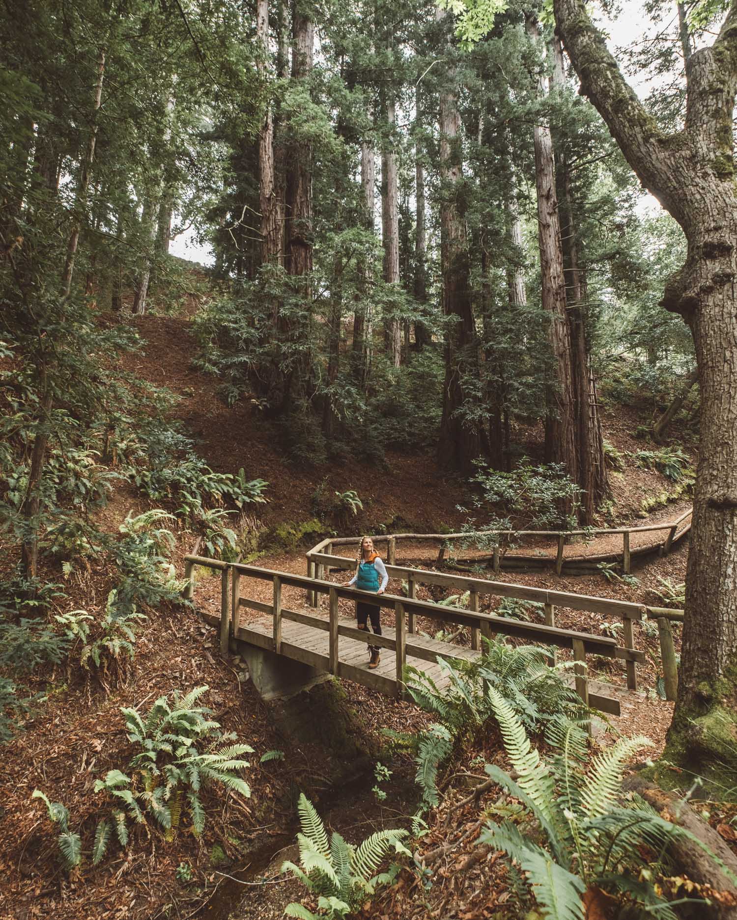 Camping in Big Sur, California