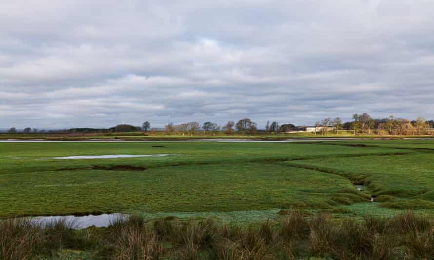 Saltmarsh on the way to the Drovers Rest.