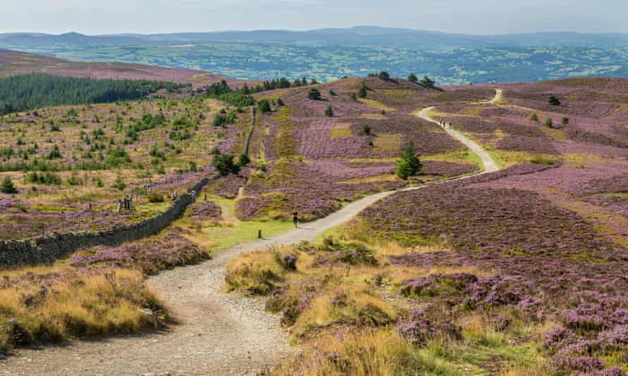 Offa’s Dyke path